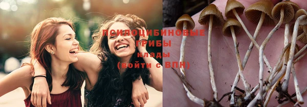 mix Алексин