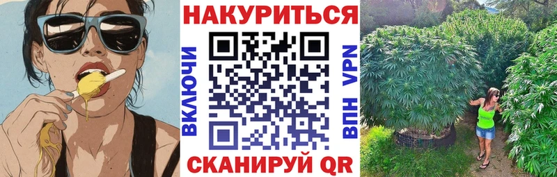 Марихуана сатива  где можно купить   Холм 